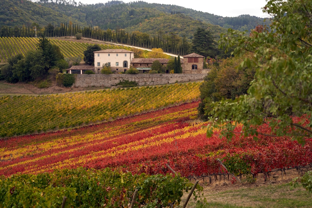 Super Tuscans – from Rule Breakers to Icons
